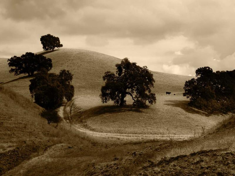 sudoku easy screenshot 4